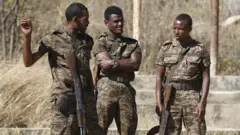 Ciidanka Tigray