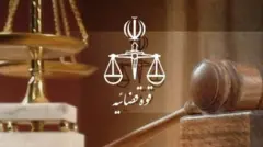 سخنگوی قوه قضائیه در نشستی خبری دلیل صدور حکم اعدام برای یکی از این متهمان را "گستردگی فعالیت جاسوسی" عنوان کرد