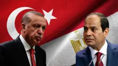 السيسي واردوغان