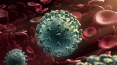 coronavirus