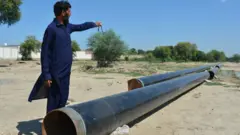 گیس