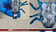 ရိုဘော့ လောကကို တစ်ခေတ်ဆန်းစေမယ့် စက်ရုပ်တွေ