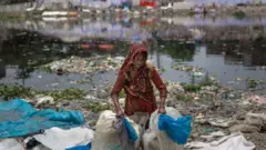 সম্প্রতি বেড়ে যাওয়া বর্জ্যের বেশিরভাগই হচ্ছে সার্জিক্যাল মাস্ক, পলিথিনের হ্যান্ড গ্লাভস, সার্জিক্যাল হ্যান্ড গ্লাভস, পলিথিন ব্যাগ এবং হ্যান্ড স্যানিটাইজার বোতল বলে একটি বেসরকারি সংস্থা জানিয়েছে।
