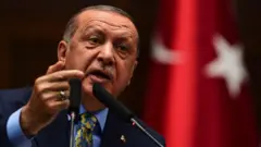 الرئيس التركي رجب طيب أردوغان