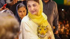 PMLN