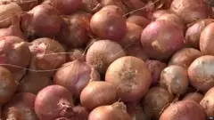 ਪਿਆਜ਼