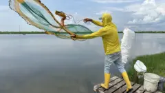 Granja camaronera en Ecuador