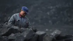 ከሰል ዘፍርዩ ስብአይ