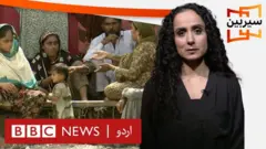 سیربین