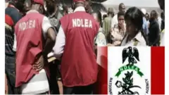 NDLEA