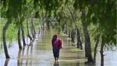 ঘূর্ণিঝড়ের কারণে পটুয়াখালীর কলাপাড়ার এই সড়কে পানি উঠে ডুবে গেছে।