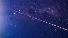 A fireball from Hayabusa2"s capsule seen as it reentered the earth"s atmosphere