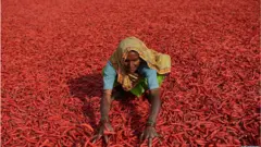 మహిళా రైతు