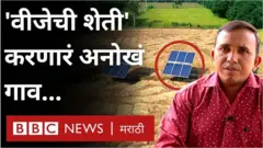गुजरातचे प्रवीण परमार यांनी शेतात सोलर पॅनेल लावले आहेत.