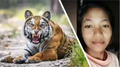 నబీనా చౌదరి