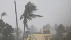 વાવાઝોડું