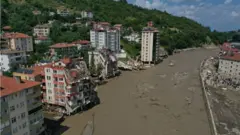 Kastamonu Bozkurt