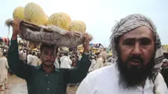 ٹیکس