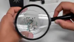 küçük plastik parçaları