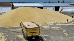 यूक्रेन में अनाज का भंडार