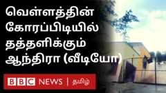 ஆந்திர வெள்ளம்.