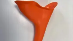 መዕቆሪ ሽንቲ ደቂ-ኣንስትዮ