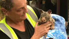 A volunteer holds a burnt brushtail possum