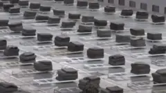 ਕੋਰੋਨਾਵਾਇਰਸ