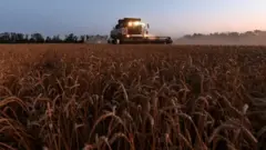Rusya eski Sovyet ülkelerine tahıl ihracatını ve şeker ihracatının bir kısmını durdurduğunu açıkladı.