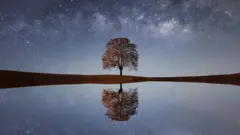 Arbre