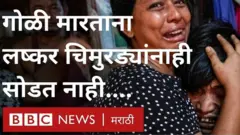 म्यानमार लष्करी उठाव, लोकशाही