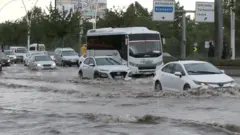 Ankara sel