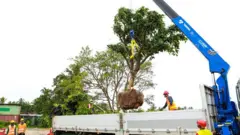 ගුවන් තොටුපොළ ව්‍යාපෘතිය