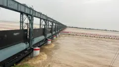 कोशी नदीमा पानीको तह खतराको स्थितिमा रहेको बताइएको छ