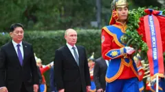 ንፑቲን ዝተገበረ ኣቀባብላ