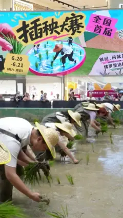 人們在商場裡插秧