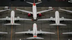 ጎል አየር መንገድ ቦይንግ 737 ማክስን ወደ በረራ እንደሚመልስ አስታወቀ።