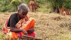எழில் கொஞ்சும் வேளாண் கிராமத்தில் புயலாக வீசும் சிப்காட் தொழிற்பேட்டை யோசனை