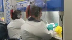 વૈજ્ઞાનિકો