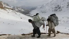 Procenjuje se da za više hiljada stanovnika pograničnih oblasti Iranskog Kurdistana posao kolbara predstavlja jedini način za sticanje prihoda i izdržavanje porodica. Imajući u vidu veliki broj članova domaćinstva u ovom delu zemlje, to znači da nekoliko desetina hiljada ljudi direktno zavisi od ovog sektora, ne računajući one koji se bave daljom distribucijom robe u druge delove Irana.