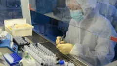 लस
