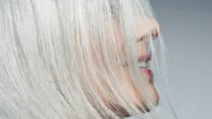 Седина