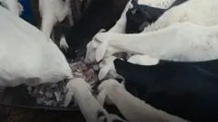 موسمیاتی تبدیلی