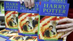 Harry Potter and the Half-Blood Prince books on display in a shop