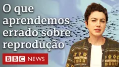 Vídeo