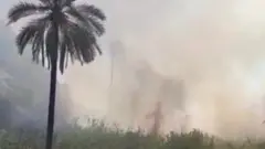 آتش‌سوزی در کوهستان‌ها و مراتع دشتستان