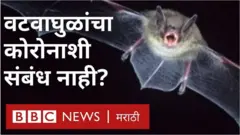 वटवाघुळ आणि कोरोनाचा प्रसार