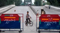 kashmir