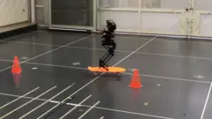 Робот гибрид