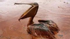 Техногенна катастрофа